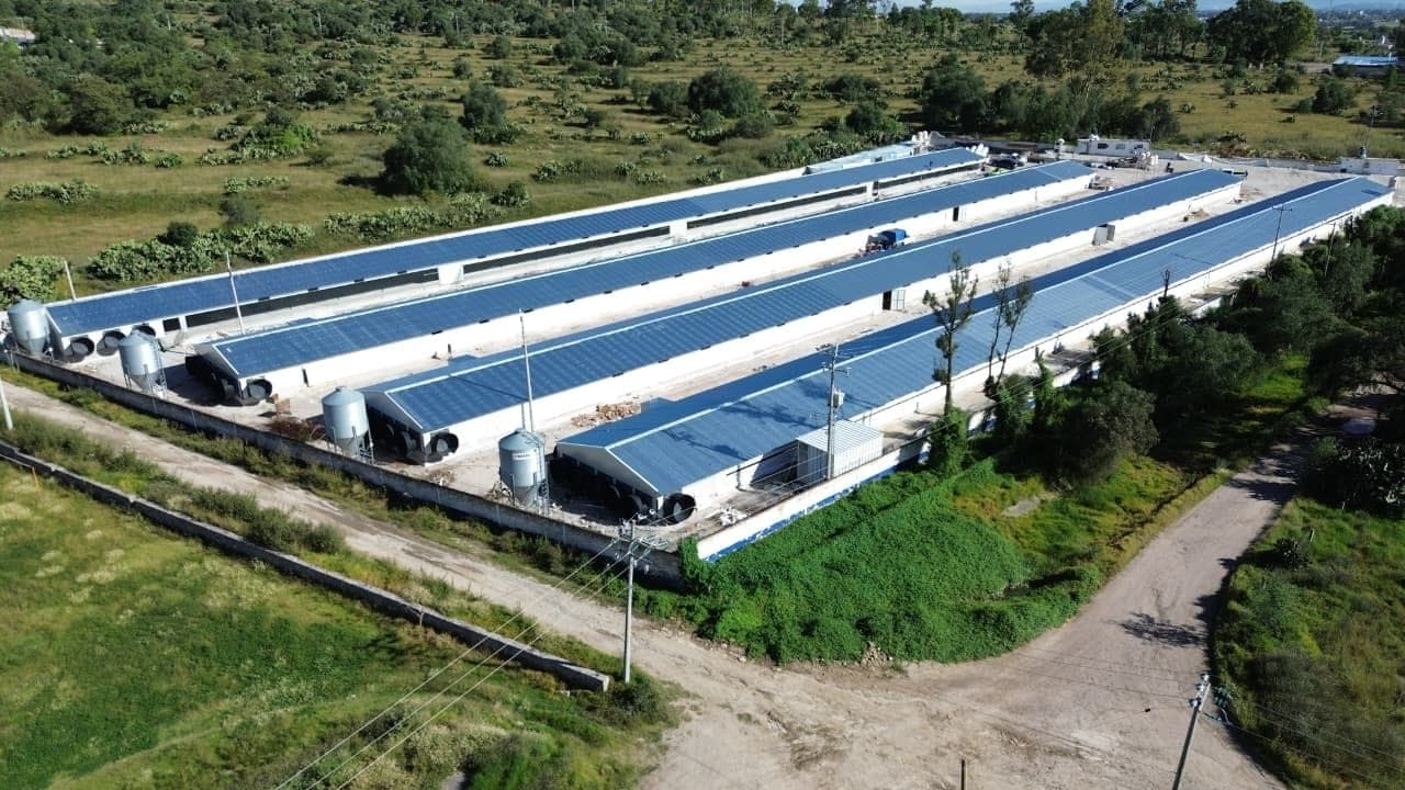 CASETA AVÍCOLA · MODELO VENTURA